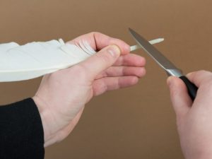 Kaligrafia. Jak pisano gęsim piórem? gesie pioro 300x225 - Kaligrafia. Jak pisano gęsim piórem?