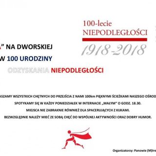 setka na dworskiej