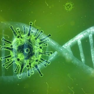 coronavirus-4833754_1280