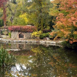 wycieczka do arboretrum w wojsławicach