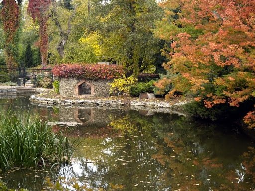 wycieczka do arboretrum w wojsławicach wycieczka do arboretrum w wojsławicach