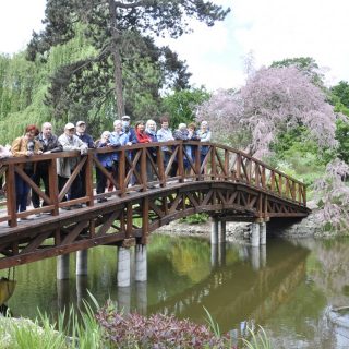 Grupa seniorów pozuje do zdjęcia na moście nad oczkiem wodnym w ogrodzie botanicznym