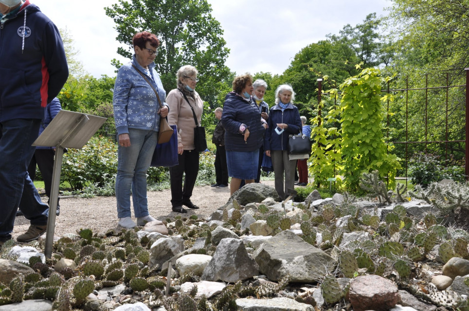 seniorzy i dinozaury2 - Seniorzy i dinozaury