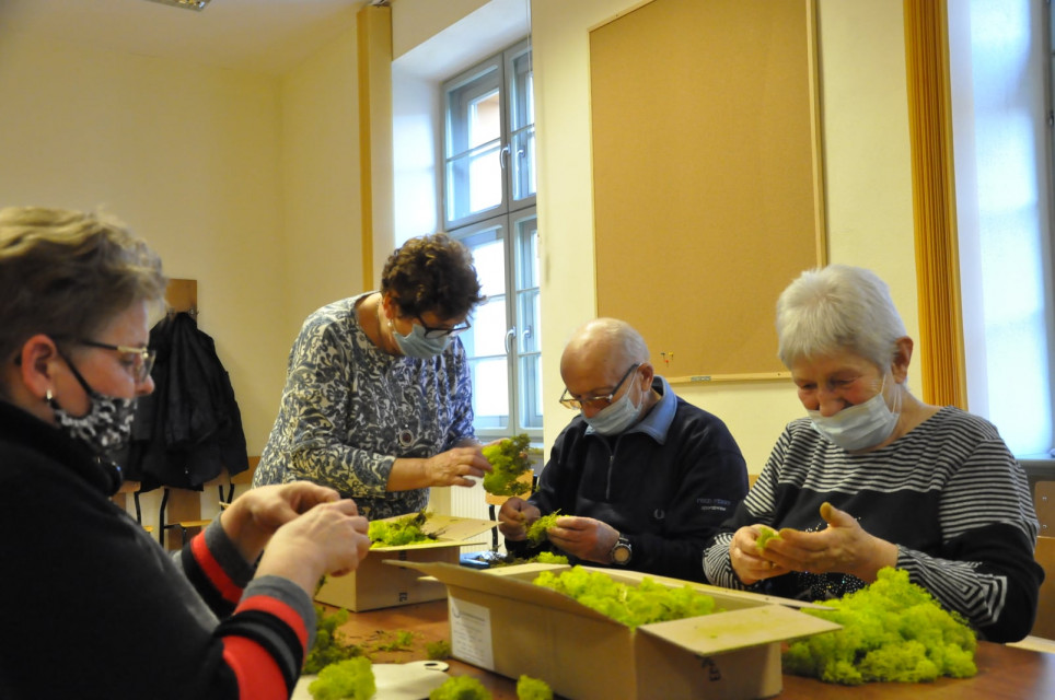Rosliny ktore zmienily historie - Rośliny, które zmieniły historię