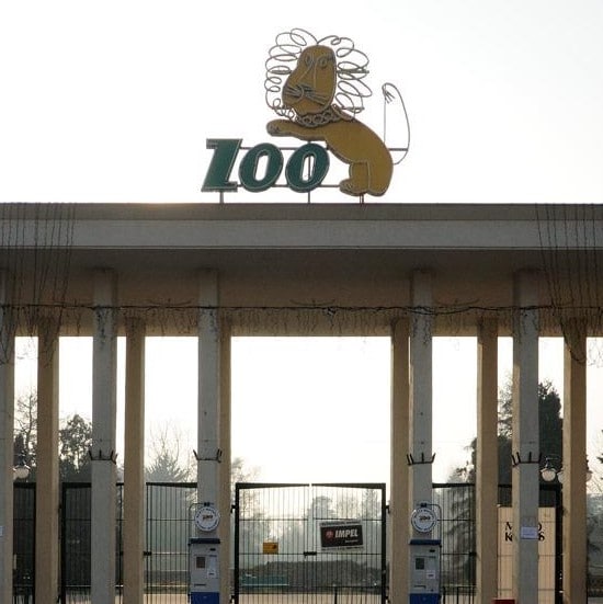 Dla uchodźców z Ukrainy Brama wejściowa, a nad nią postać lwa z napisem ZOO
