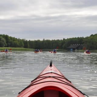 Dziub kajaka, w tle jezioro po którym w stronę lasu płyną cztery kajaki