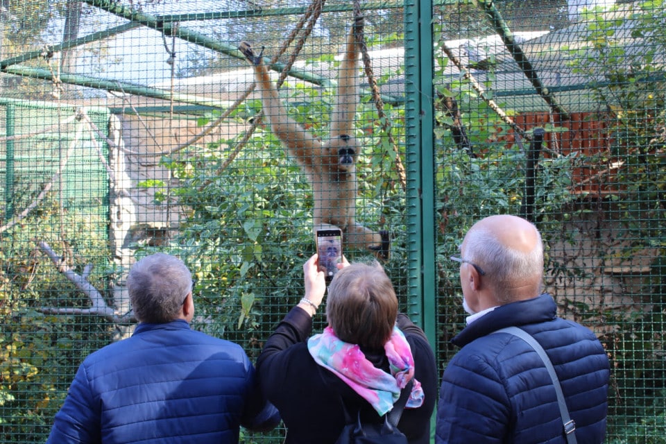 Zlota polska jesien2 - Złota polska jesień w ZOO