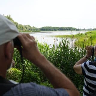 Dwie osoby przy szuwarach spoglądają przez lornetki w kierunku stawu